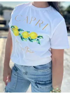 Shirt básicos